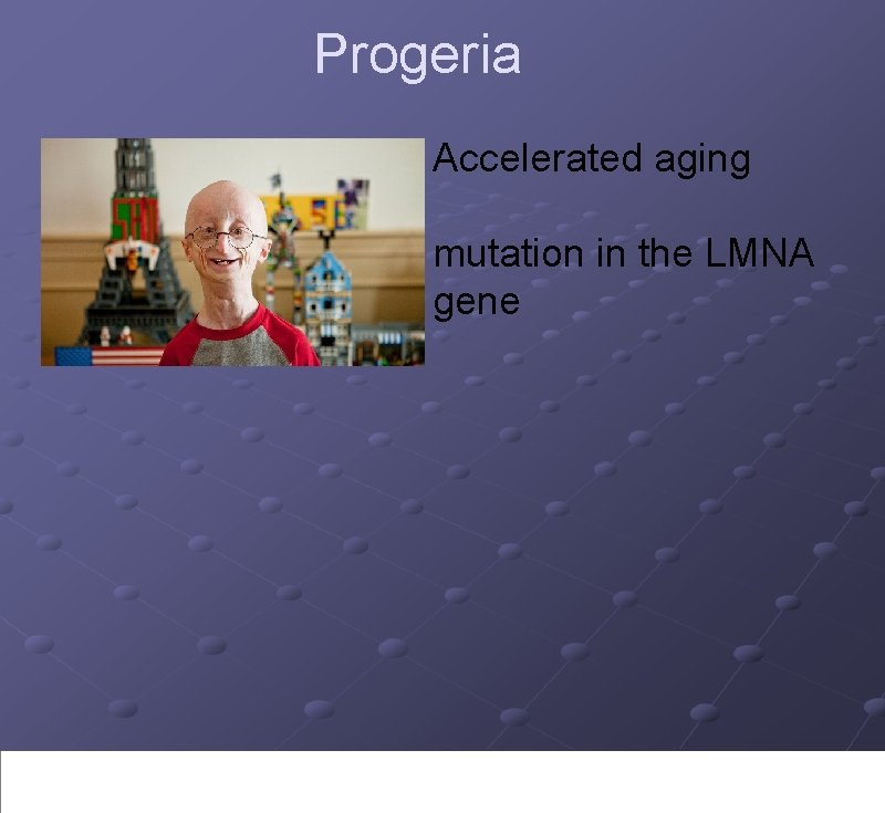 Progeria Accelerated aging mutation in the LMNA gene 
