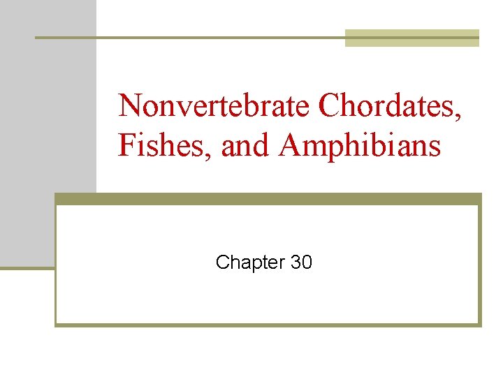 Nonvertebrate Chordates, Fishes, and Amphibians Chapter 30 