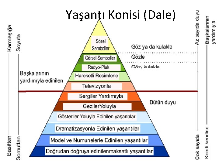 Yaşantı Konisi (Dale) / 