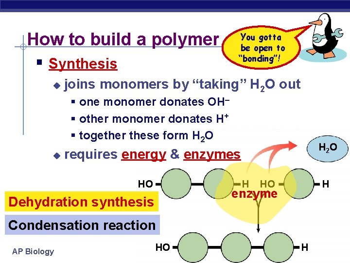 How to build a polymer § Synthesis u You gotta be open to “bonding”!