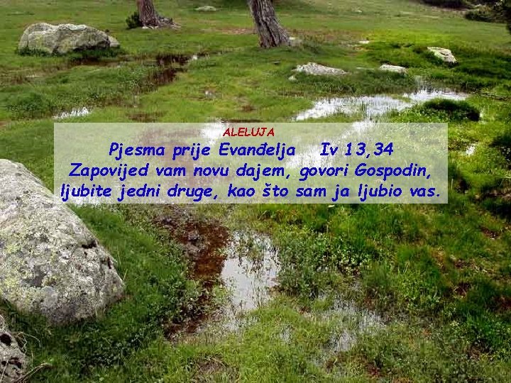 ALELUJA Pjesma prije Evanđelja Iv 13, 34 Zapovijed vam novu dajem, govori Gospodin, ljubite ALELUJA Pjesma prije Evanđelja Iv 13, 34 Zapovijed vam novu dajem, govori Gospodin, ljubite
