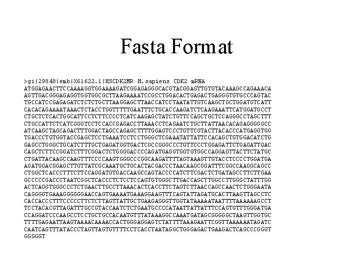 Fasta Format >gi|29848|emb|X 61622. 1|HSCDK 2 MR H. sapiens CDK 2 m. RNA ATGGAGAACTTCCAAAAGGTGGAAAAGATCGGAGAGGGCACGTACGGAGTTGTGTACAAAGCCAGAAACA