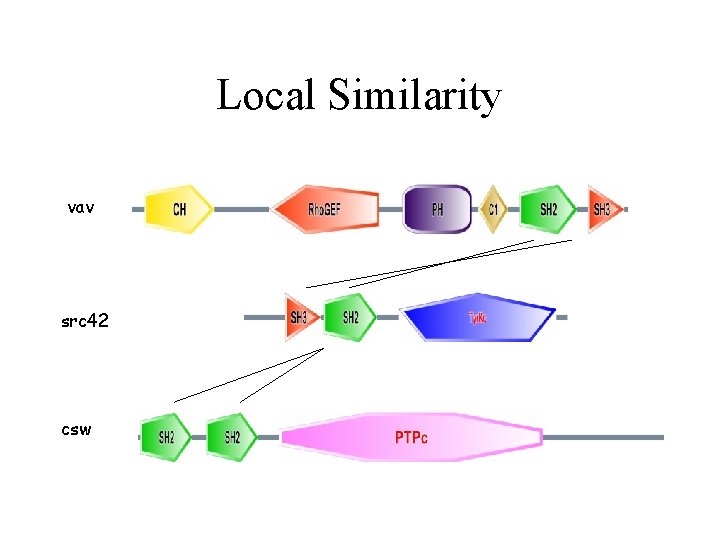 Local Similarity vav src 42 csw 