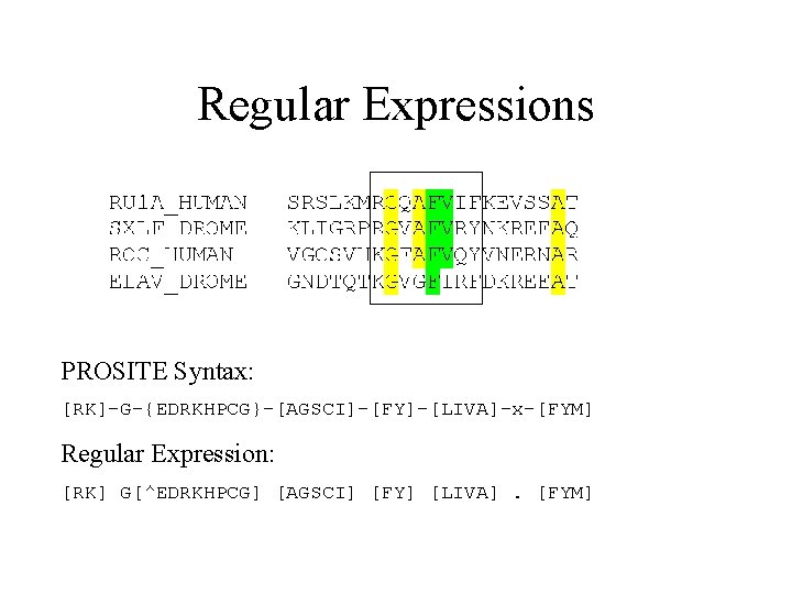 Regular Expressions PROSITE Syntax: [RK]-G-{EDRKHPCG}-[AGSCI]-[FY]-[LIVA]-x-[FYM] Regular Expression: [RK] G[^EDRKHPCG] [AGSCI] [FY] [LIVA]. [FYM] 