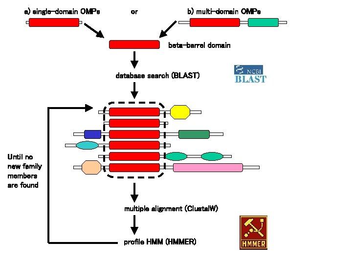 a) single-domain OMPs or b) multi-domain OMPs beta-barrel domain database search (BLAST) Until no