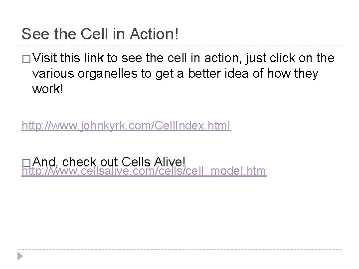 See the Cell in Action! � Visit this link to see the cell in