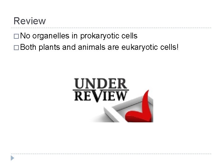 Review � No organelles in prokaryotic cells � Both plants and animals are eukaryotic