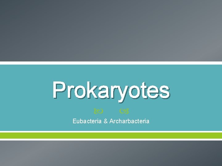 Prokaryotes Eubacteria & Archarbacteria 