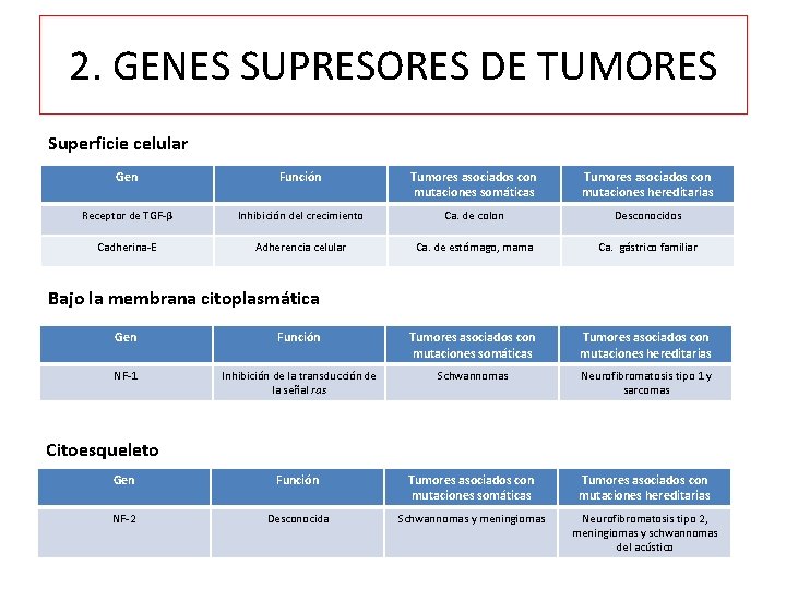 2. GENES SUPRESORES DE TUMORES Superficie celular Gen Función Tumores asociados con mutaciones somáticas