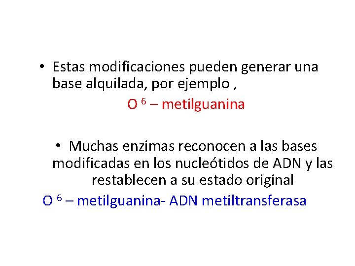  • Estas modificaciones pueden generar una base alquilada, por ejemplo , O 6