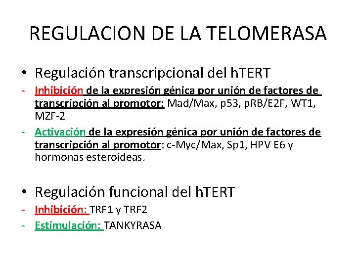 REGULACION DE LA TELOMERASA • Regulación transcripcional del h. TERT - Inhibición de la