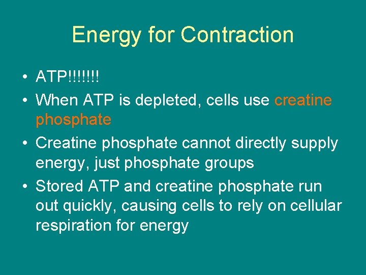 Energy for Contraction • ATP!!!!!!! • When ATP is depleted, cells use creatine phosphate