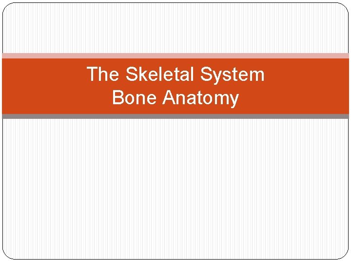 The Skeletal System Bone Anatomy 