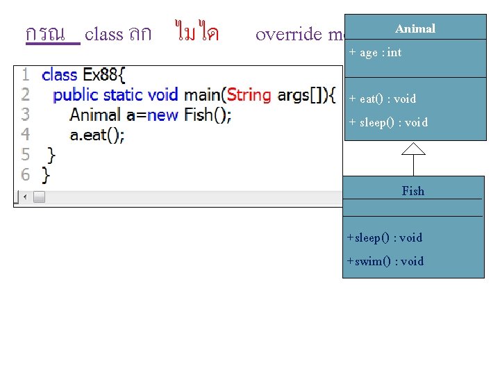 กรณ class ลก ไมได override method Animal + age : int + eat() :