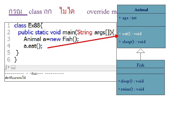 กรณ class ลก ไมได override method Animal + age : int + eat() :