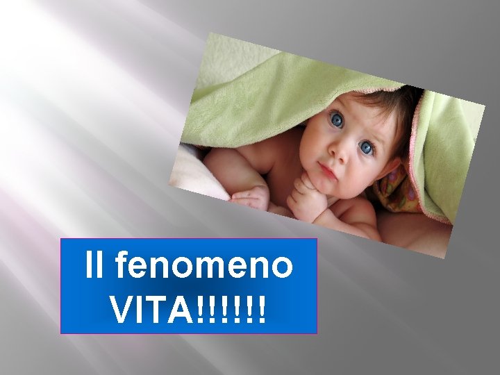 Il fenomeno VITA!!!!!! 