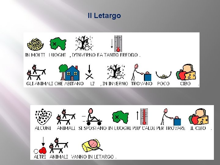 Il Letargo 