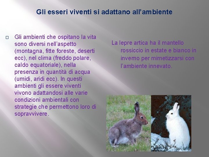Gli esseri viventi si adattano all’ambiente � Gli ambienti che ospitano la vita sono