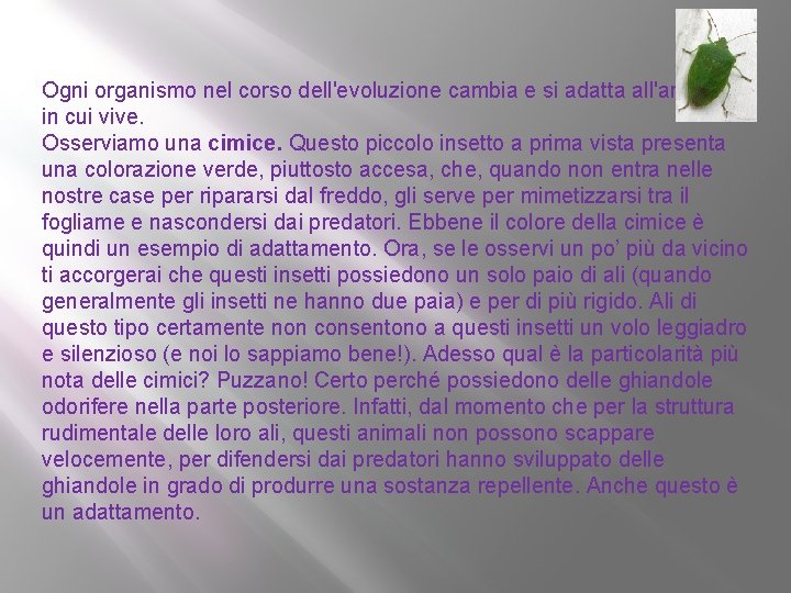 Ogni organismo nel corso dell'evoluzione cambia e si adatta all'ambiente in cui vive. Osserviamo