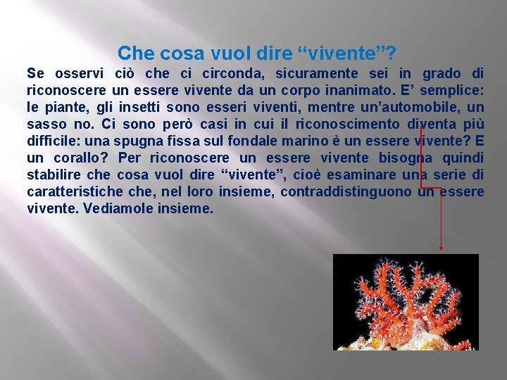 Che cosa vuol dire “vivente”? Se osservi ciò che ci circonda, sicuramente sei in