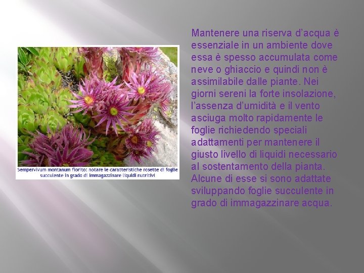 Mantenere una riserva d’acqua è essenziale in un ambiente dove essa è spesso accumulata