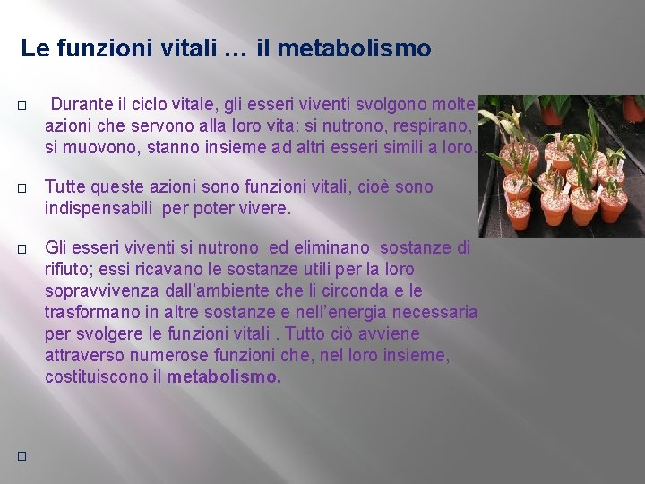 Le funzioni vitali … il metabolismo � Durante il ciclo vitale, gli esseri viventi