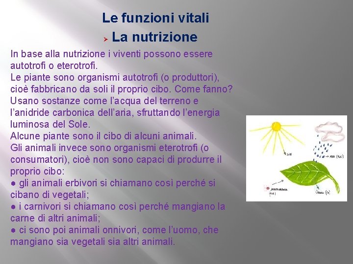 Le funzioni vitali Ø La nutrizione In base alla nutrizione i viventi possono essere
