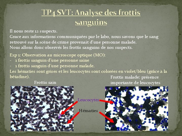 TP 4 SVT: Analyse des frottis sanguins Il nous reste 12 suspects. Grace aux