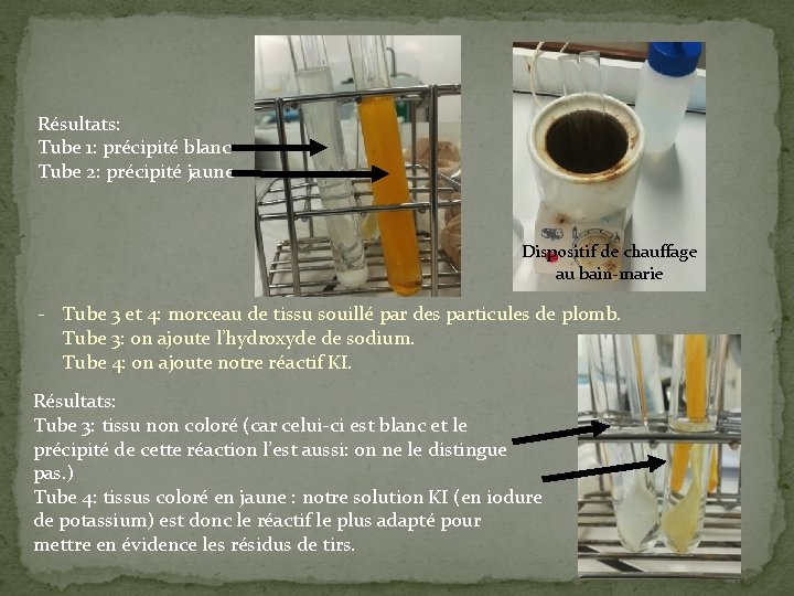 Résultats: Tube 1: précipité blanc Tube 2: précipité jaune Dispositif de chauffage au bain-marie