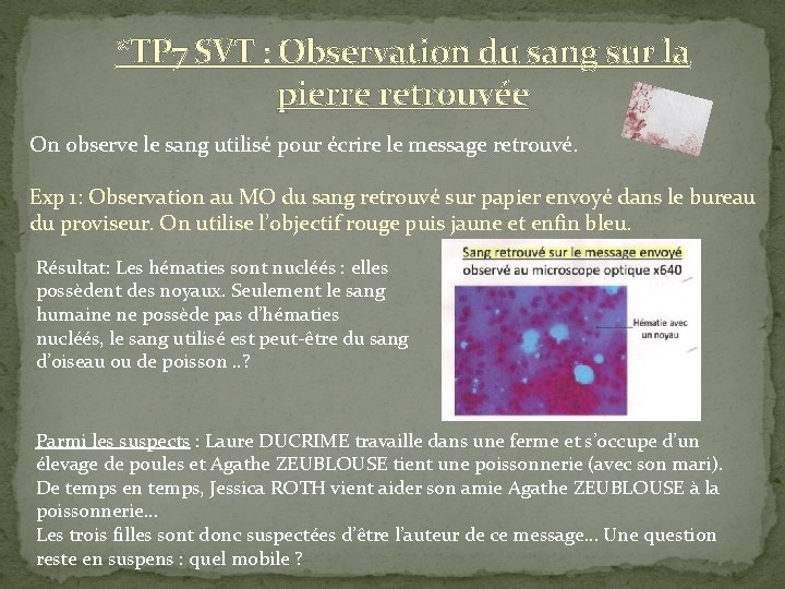 *TP 7 SVT : Observation du sang sur la pierre retrouvée On observe le