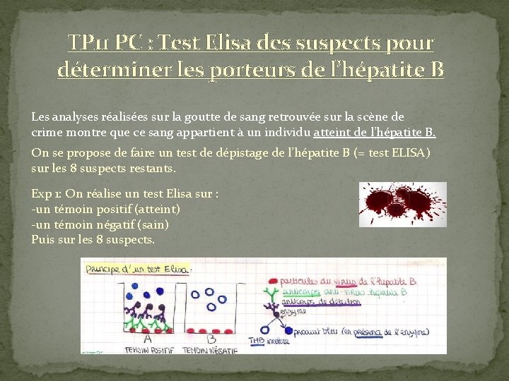 TP 11 PC : Test Elisa des suspects pour déterminer les porteurs de l’hépatite