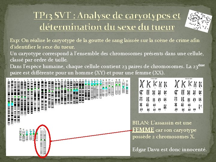TP 13 SVT : Analyse de caryotypes et détermination du sexe du tueur Exp: