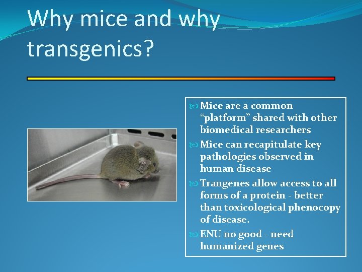 Why mice and why transgenics? Mice are a common “platform” shared with other biomedical