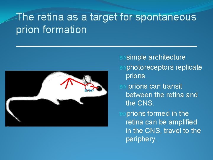 The retina as a target for spontaneous prion formation Brain simple architecture photoreceptors replicate