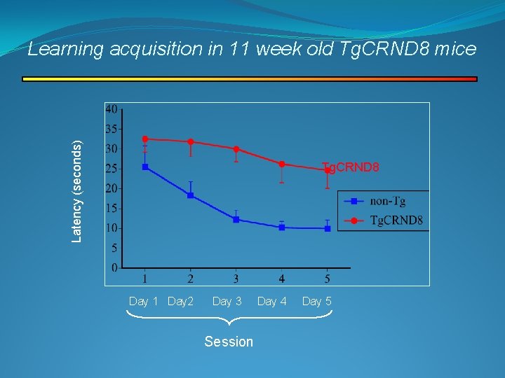 Latency (seconds) Learning acquisition in 11 week old Tg. CRND 8 mice Tg. CRND