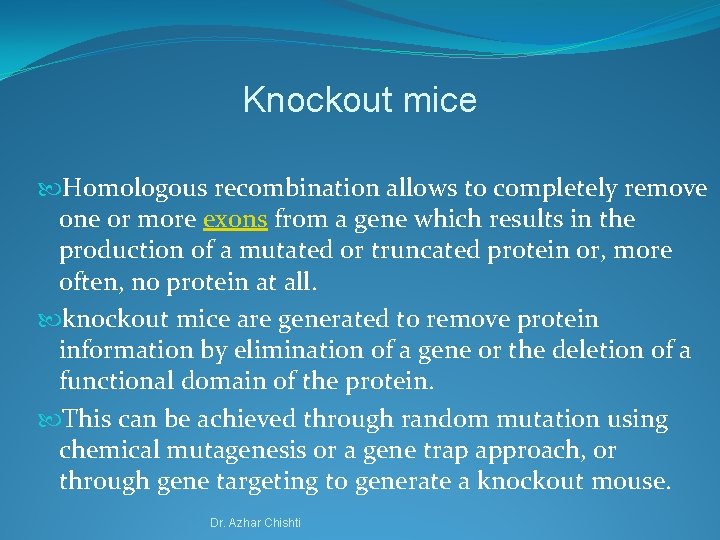 Knockout mice Homologous recombination allows to completely remove one or more exons from a