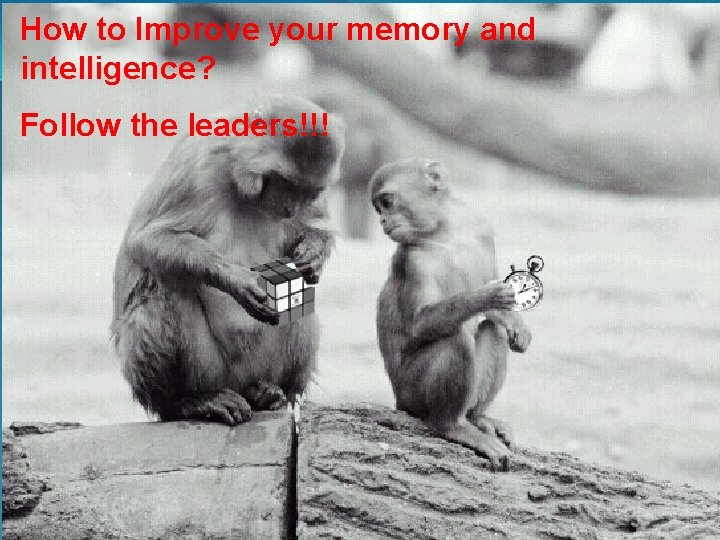 How to Improve your memory and intelligence? Follow the leaders!!! 