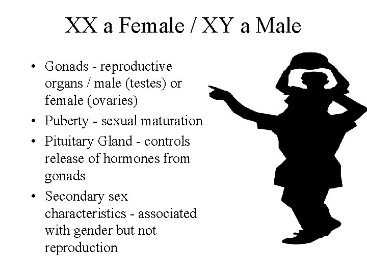XX a Female / XY a Male • Gonads - reproductive organs / male XX a Female / XY a Male • Gonads - reproductive organs / male