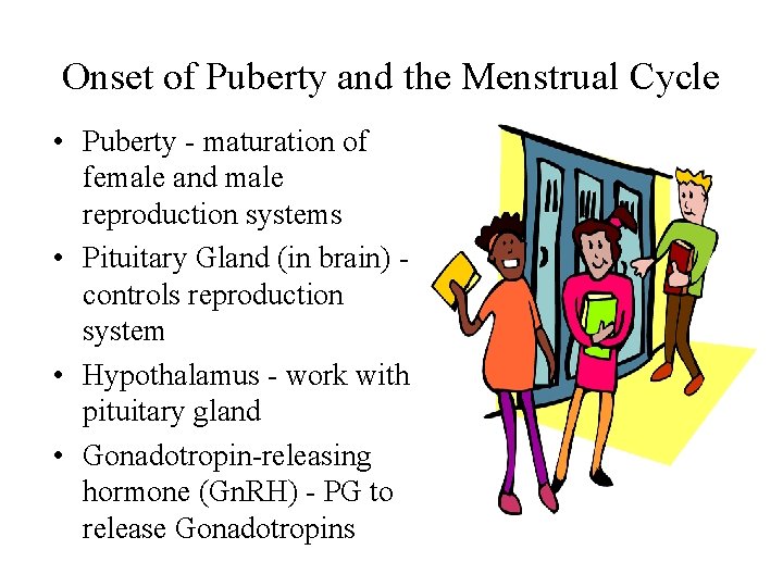 Onset of Puberty and the Menstrual Cycle • Puberty - maturation of female and Onset of Puberty and the Menstrual Cycle • Puberty - maturation of female and