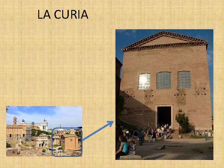 LA CURIA 