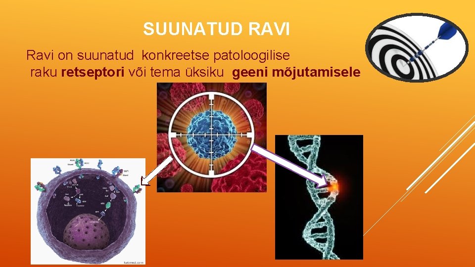 SUUNATUD RAVI Ravi on suunatud konkreetse patoloogilise raku retseptori või tema üksiku geeni mõjutamisele