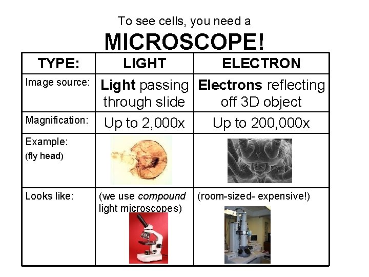 To see cells, you need a MICROSCOPE! TYPE: Image source: Magnification: LIGHT ELECTRON Light