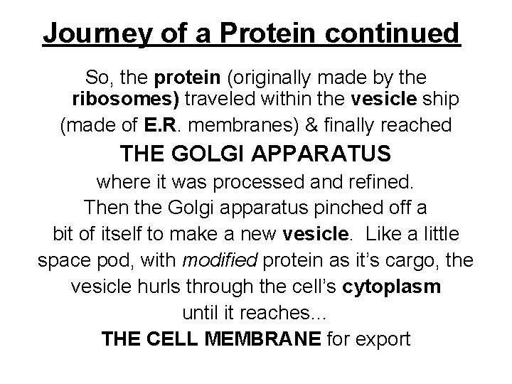 Journey of a Protein continued So, the protein (originally made by the ribosomes) traveled