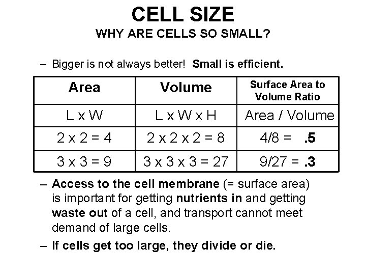 CELL SIZE WHY ARE CELLS SO SMALL? – Bigger is not always better! Small