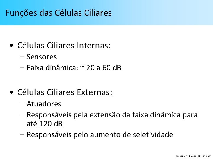 Funções das Células Ciliares • Células Ciliares Internas: – Sensores – Faixa dinâmica: ~