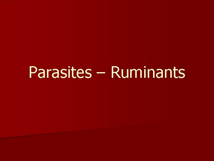 Parasites – Ruminants Parasites – Ruminants