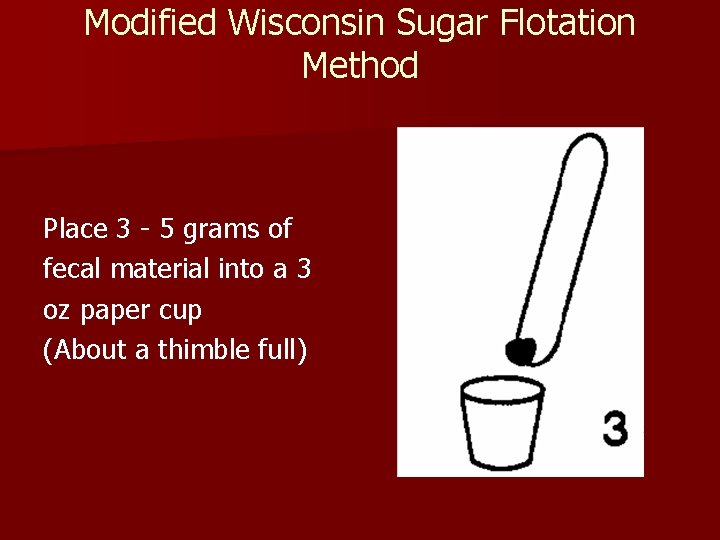Modified Wisconsin Sugar Flotation Method Place 3 - 5 grams of fecal material into Modified Wisconsin Sugar Flotation Method Place 3 - 5 grams of fecal material into