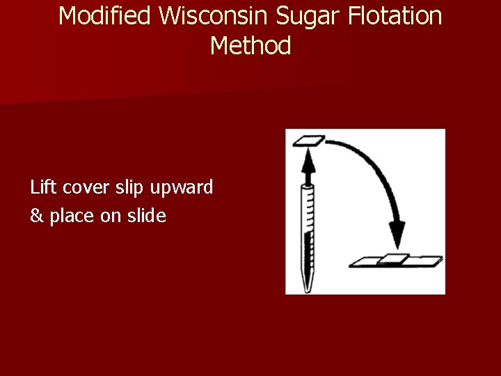 Modified Wisconsin Sugar Flotation Method Lift cover slip upward & place on slide Modified Wisconsin Sugar Flotation Method Lift cover slip upward & place on slide