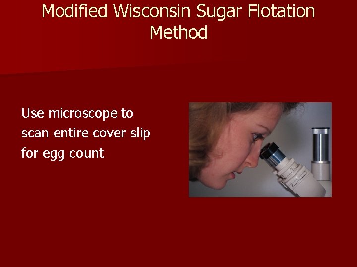 Modified Wisconsin Sugar Flotation Method Use microscope to scan entire cover slip for egg Modified Wisconsin Sugar Flotation Method Use microscope to scan entire cover slip for egg