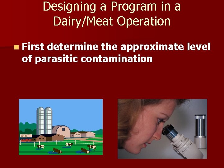 Designing a Program in a Dairy/Meat Operation n First determine the approximate level of Designing a Program in a Dairy/Meat Operation n First determine the approximate level of